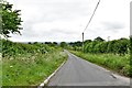 Cucklington: The road to West Bourton in BA9 9QF
