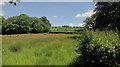 Farmland, Brown's Marsh in EX36 3HQ