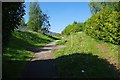 Footpath to Finch Gardens, Bramley, Rotherham in S66 1YY