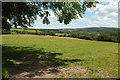 Farmland near Cross Lane Cross in EX36 3HF