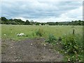 Farmland on the south side of the A610, near Giltbrook in NG16 2FS