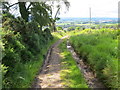 Enclosed track descending Hill of Alyth in PH11 8JG