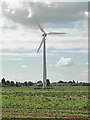 Wind turbine on Floral Farm, Wisbech in PE13 3BA