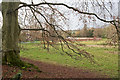 View of walled garden of West Meon House from footpath in GU32 1JJ