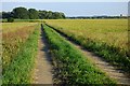 Track and farmland, Marsh Baldon in OX44 7XD