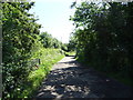 Track (footpath) beside Badger Wood in DE12 6RF