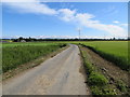 Minor road passing between arable fields in PH12 8RA