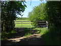 Field entrance near Tinkers Gate Farm in DE12 8BU