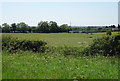 Fields of Swepstone Road (B4116) in Measham North Ward
