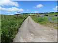 Track leading to Broadmuir and Barnton in DD8 5HD