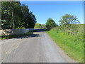 Minor road at Braes of Coul in DD8 5JR
