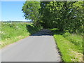 Tree-lined minor road heading towards Carroch Mill in DD8 4SQ