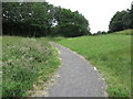 Path through the Brierdene, Whitley Bay in NE26 4AE