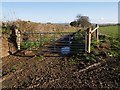 Gate on Hookwell Down Lane in EX36 3RF