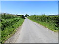 Hedge-lined minor road near to Milton of Clunie in PH10 6RL