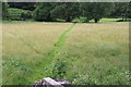 Footpath towards Graig Syddi Wood in NP7 9HW