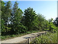 Track into woodland in DE11 0UG