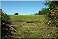 Gate and fields by Stoke Road in TQ4 7AU