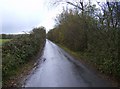 Lane south of Lincott in DT2 8DR