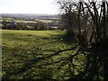 Field above Aller Cross in EX36 3RG