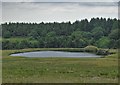 The moorland pool at Broadshaw in S10 4QZ