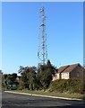 Mast on Coventry Road, Lutterworth in LE17 4QJ