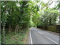 Debden Lane towards Theydon Bois in IG10 2SB