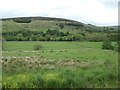 Farmland in the valley of the River South Tyne in CA8 7NH