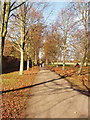 Path by the stables, Osterley House in TW7 4RB