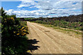 Access road to Clashach Quarry in IV30 5TN