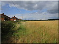 Field and houses in East Lane in Gamlingay