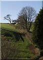 Gate and track near Westacott in EX32 0TA