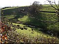 Valley below Westacott in EX32 0TA