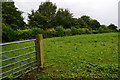 Field gate beside footpath at Partney in Partney