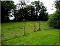 Captain's Field gate, Llanfrynach in LD3 7HT