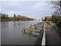 River Walk - Kingston in KT1 2LX