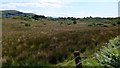 Rough moorland near Kilbrandon House in PA34 4RA