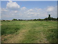 Grass field by the River Witham at Barkston in NG32 2NH