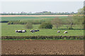 Mixed farmland near Haddenham in HP17 8AL