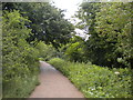 Path alongside Hatchford Brook east of Cranes Park in B37 7EE