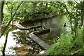 Weir on the Glazert Water in Milton of Campsie