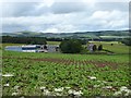 Looking across the fields to Duns Law Farm in TD11 3BB