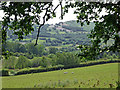 Powys farmland south-west of Rhayader in LD6 5HH