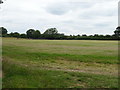 Grazing off Kents Lane, Weald Bridge in CM16 6AX