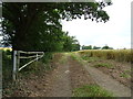 Farm track off Tilegate Road, Magdalen Laver in CM5 0EQ