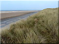 Sand dunes and beach near the Point of Ayr in CH8 9JN