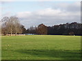 Dog walking area, Osterley Park in TW7 4RB