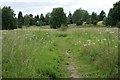 Footpath through the meadow in Milton of Campsie