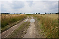 Track leading to Long Hedge Lane, Carlton in DN14 9NG