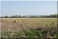 Flat farmland near Kingsey in OX9 3QH